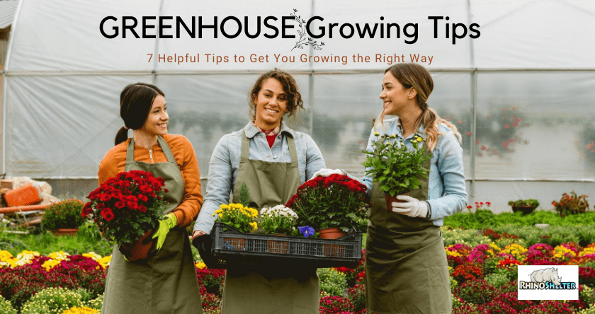 7 Helpful Tips for Greenhouse Growing Amateurs