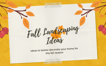 10 Awesome Fall Landscaping Ideas