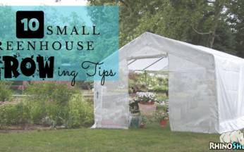 Small Greenhouse Gardening: 10 Expert Tips for Thriving Gardens