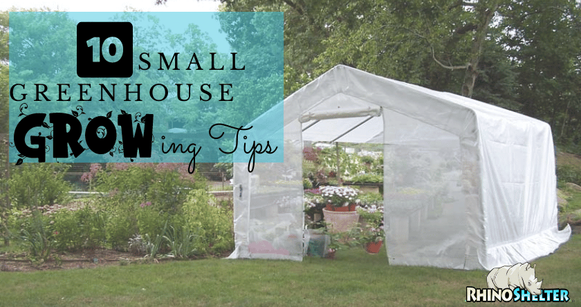 Small Greenhouse Growing Tips