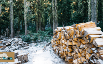 Storing Firewood: The Do’s and Donts